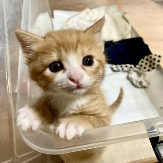 兄弟一緒に家族が出来ました