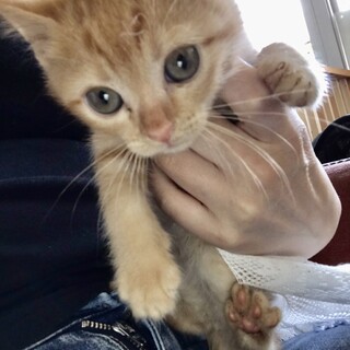 里親さま決まりました☆