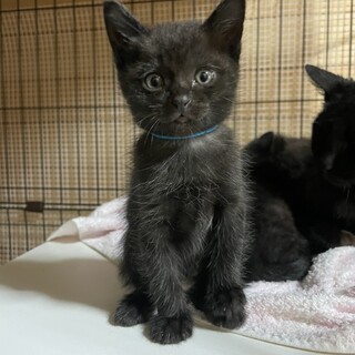 甘えん坊な女の子☆