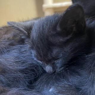 甘えん坊な女の子☆