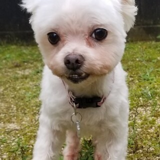 マリチーズmix・パスタです♪