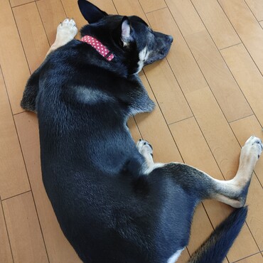 の写真