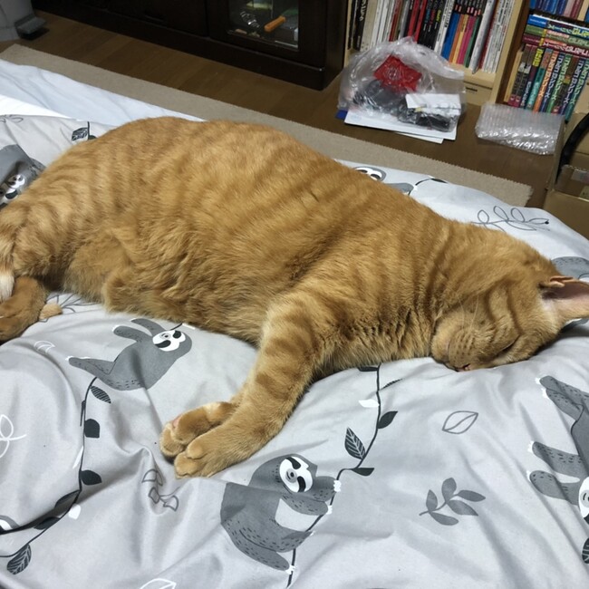 ふじみさんのカバー写真