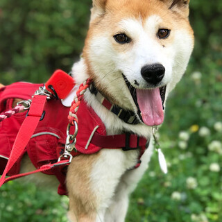  経験を積んで怖がり克服中、可愛い女の子エヴァ