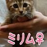 里親決定しました サムネイル2