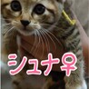 里親決定しました サムネイル2