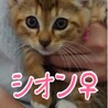 里親決定しました サムネイル2