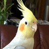 むねむら