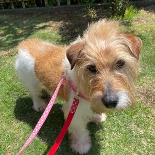 一旦募集を停止いたします。リロくん❣️