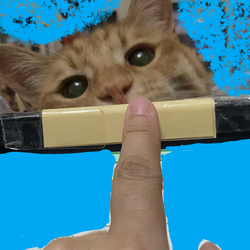 「Julia３歳」サムネイル2