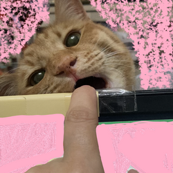 「Julia３歳」サムネイル3