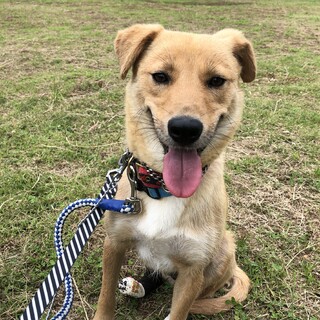 物静かな女の子「せい」