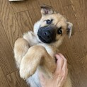 元気な男の子「こつぶ」