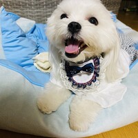 壽葉