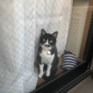 ベランダにて