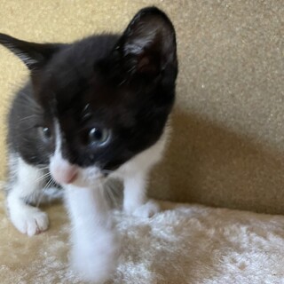 甘えん坊な女の子☆