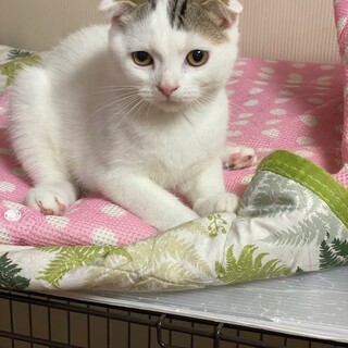 素敵なご縁がありました　わんぱく盛りの元気印男子