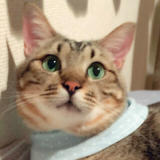 ピュア度100％✨奄美から来た甘えん坊男子