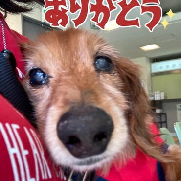 お空組になりました