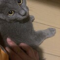 慎重だけど甘えっ子な女の子