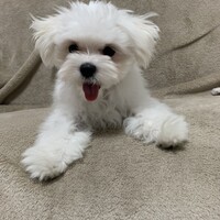 まる