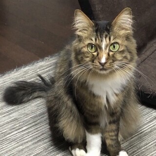 モフモフで人懐こい！甘えん坊なペコちゃん★