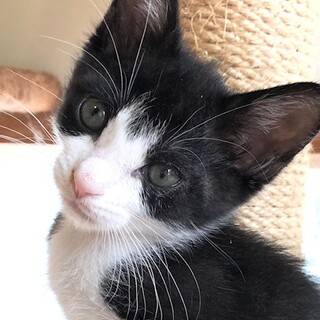 元気いっぱいのわんぱくこぞう　おう君