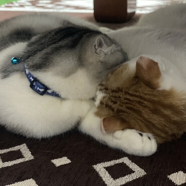 めめとラブラブ❤️