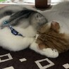 めめとラブラブ❤️