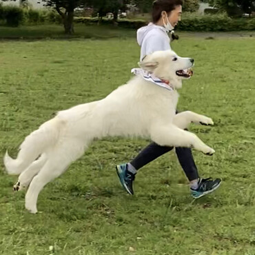 1歳6ヶ月 体重45キロ
