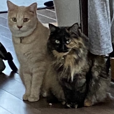 先住のアチャとツーショット