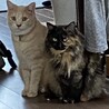 先住のアチャとツーショット