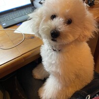 규규