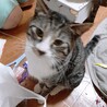 術後のライちゃん