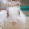 くつろぎ