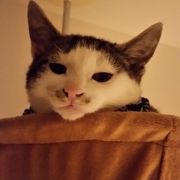 ブー