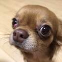 大切にしてくださる方
