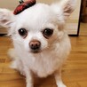 かあちー