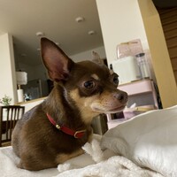 ちゃこ