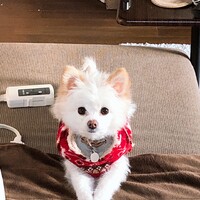 なつ