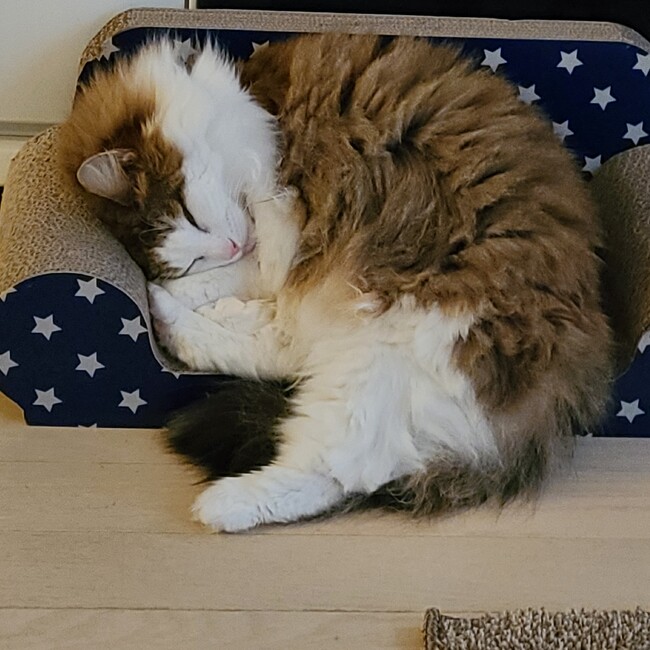 じゅん&ゆうきのカバー写真