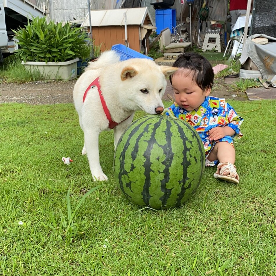 ゆずのカバー写真