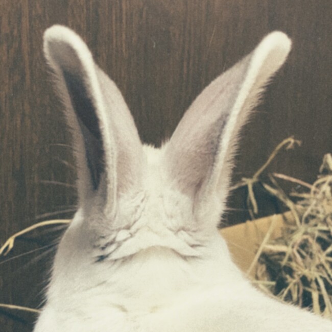 kanna.kのカバー写真