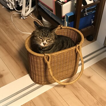 まるの写真