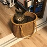 の写真