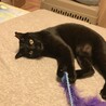 の写真