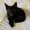 元気で懐こい　こまちくん　♪