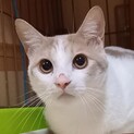 大きい甘えん坊です