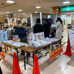 子猫～シニア猫❤足立区島忠大谷田店(千代田線北綾瀬駅から徒歩10分) サムネイル2