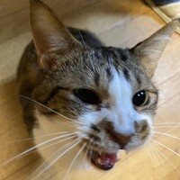 ナツキ
